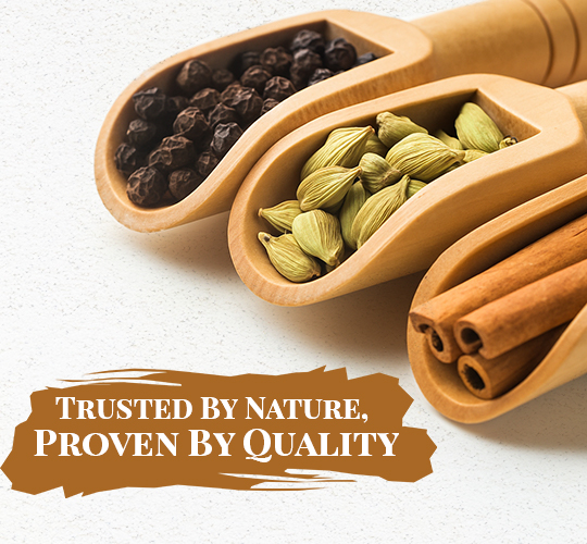 stanes spices 500_540